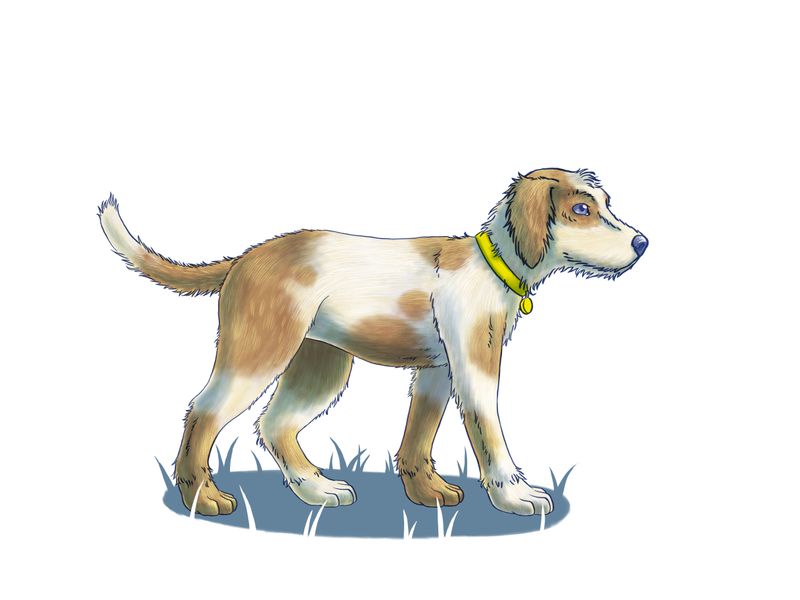 illustration of a dog walking relaxed