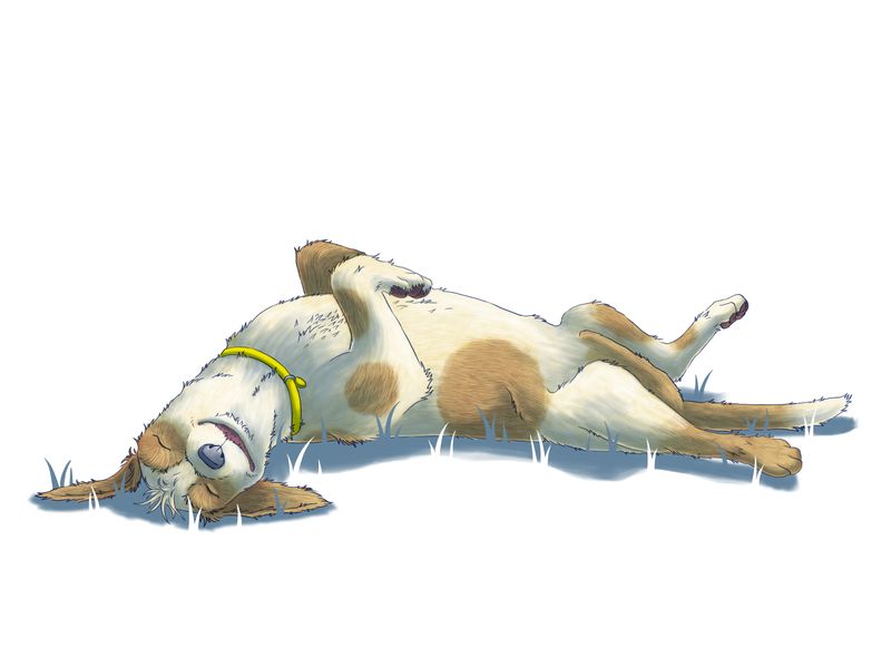 illustration of a dog splaying relaxed on their back