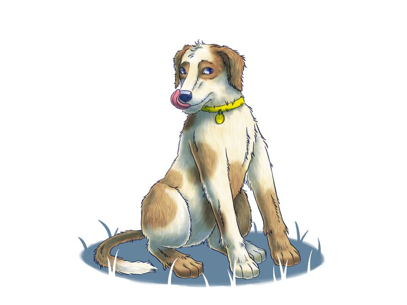 illustration of a dog giving side eye and licking its lips