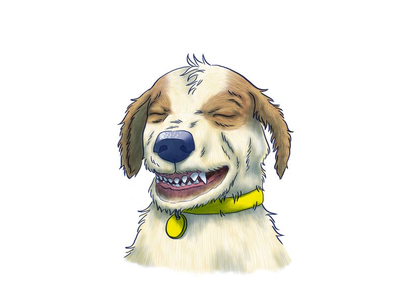 illustration of a dog awkwardly grinning with all their teeth showing