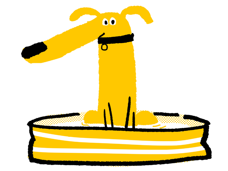 illustration of a yellow large dog in a paddling pool