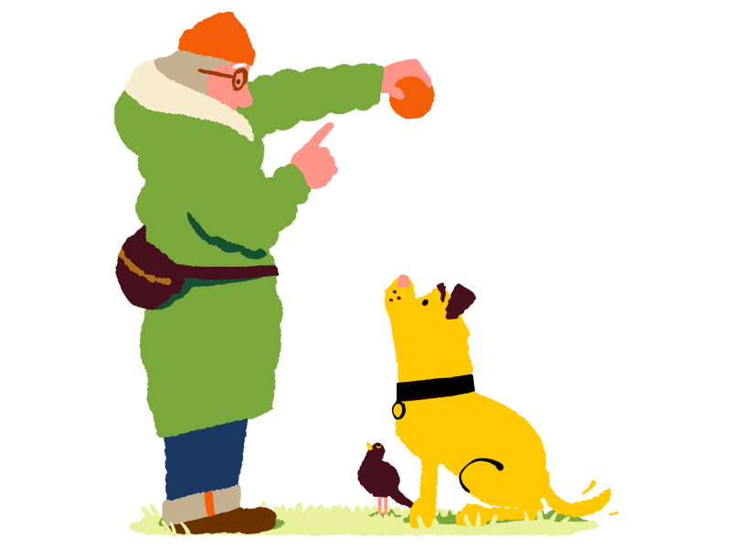 Illustration of owner playing fetch