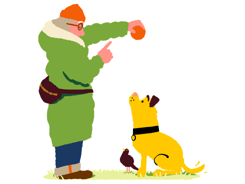 Illustration of a person wearing a warm coat and playing fetch with their dog on a walk