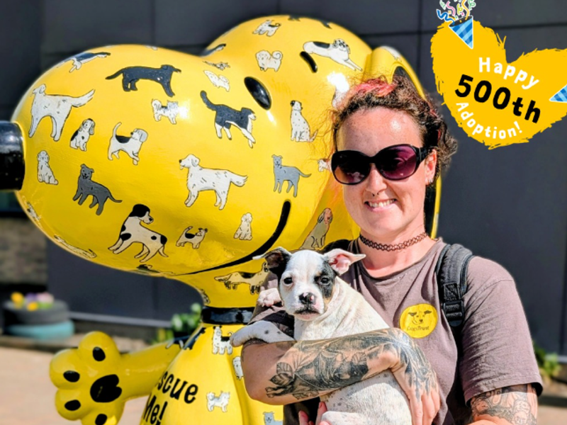 a small white and black spotted dog being held by a lady wearing sunglasses in front of a large yellow snoopy and a yellow bag