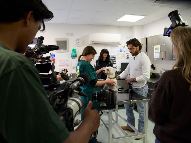 Pete wicks in a veterinary suite watching over a female vet checking a white dog with camera crew all around