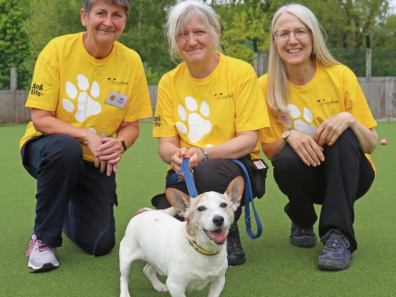 three older ladies smiling wearing yellow t-shirts with white paws leaning down beside a small white senior Terrier dog called Buster
