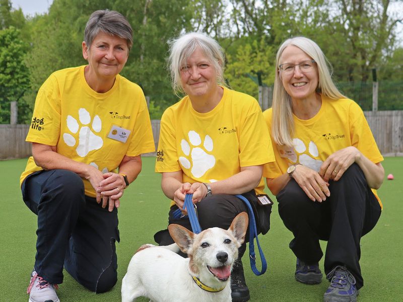 three older ladies smiling wearing yellow t-shirts with white paws leaning down beside a small white senior Terrier dog called Buster