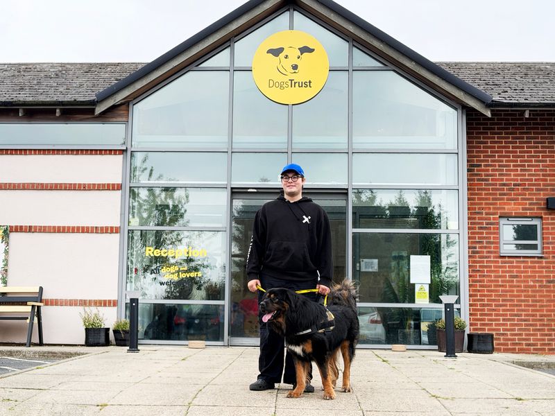  Oliver the Tibetan Mastiff finds his forever home with Ben and Bailey 