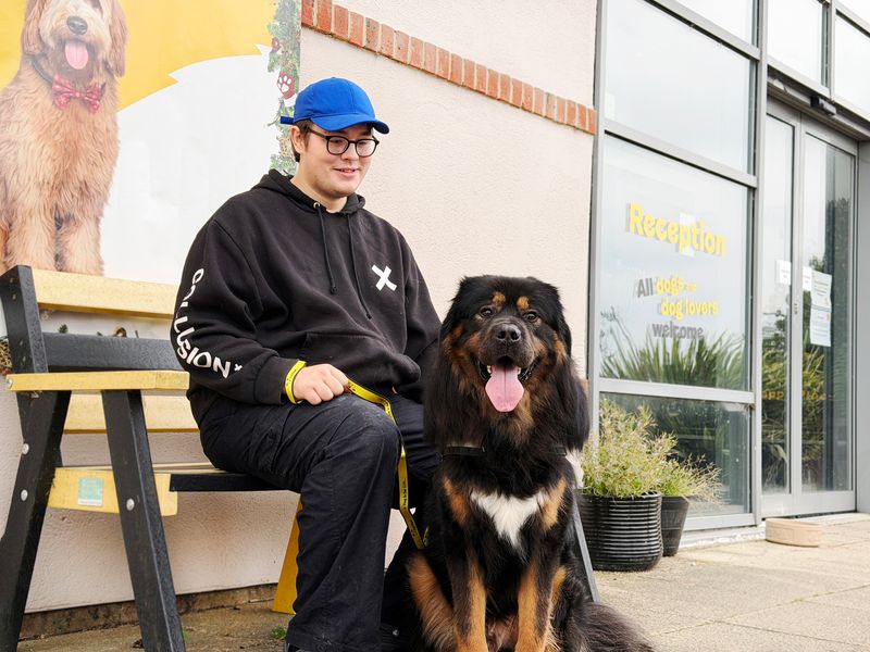  Oliver the Tibetan Mastiff builds a bond with adopter Bailey 