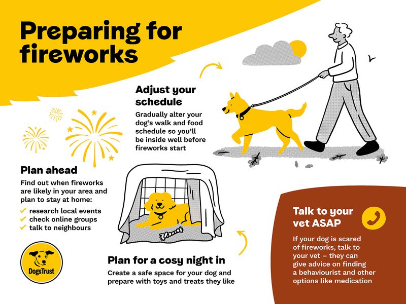 Infographic featuring advice on preparing for fireworks: such as planning ahead with noise desensitisation, avoiding fireworks by going for walks before dark, and enjoying a cosy night in when fireworks begin going off
