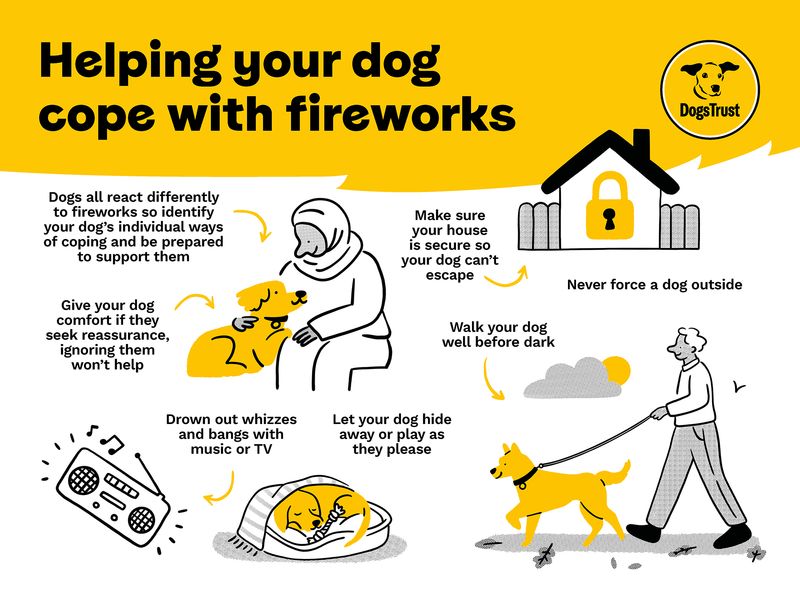 Infographic sharing advice for supporting your dog through fireworks such as: playing soothing sounds to muffle firework noise, ensuring your home is secure to prevent your dog escaping and planning walks during daytime hours to avoid bangs going off during walkies