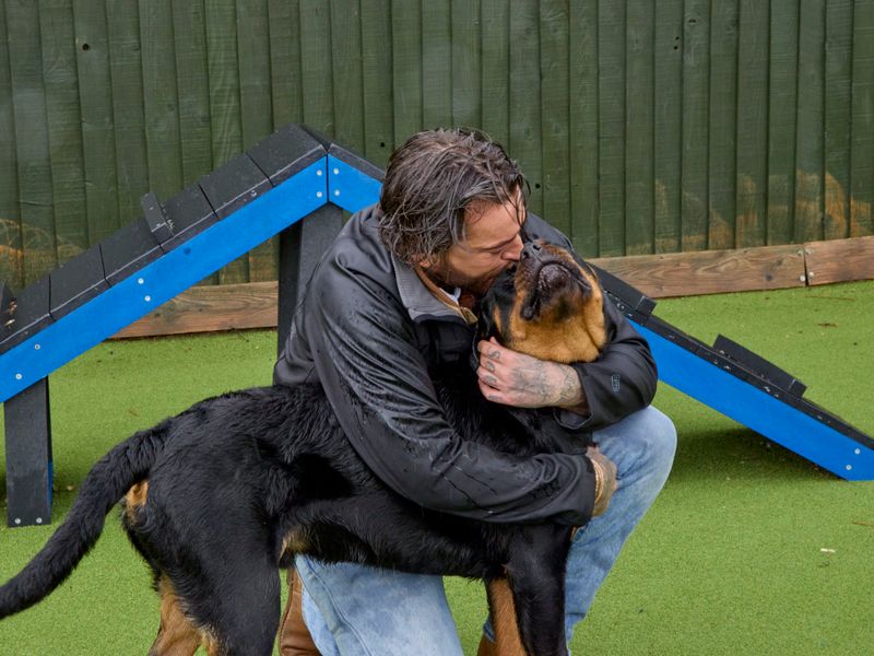pete wicks outside in the rain hugging and kissing a black and tan Rottweiler adult dog on the head