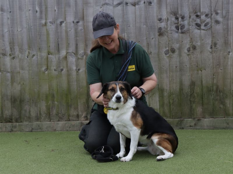 Flossy - Image 2 of 4