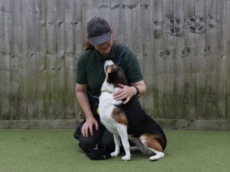 Flossy - Image 3 of 4