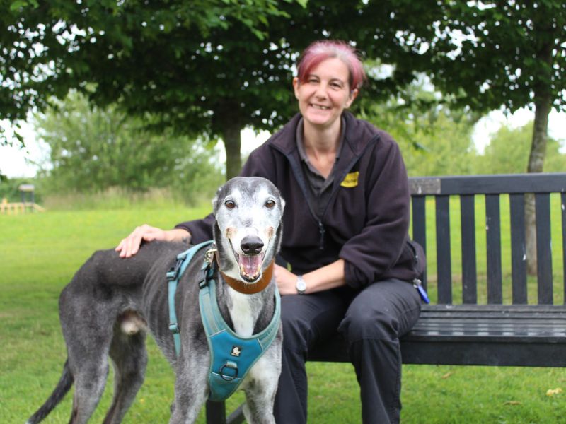 Billy for sale in Telford, Shropshire | Image 2