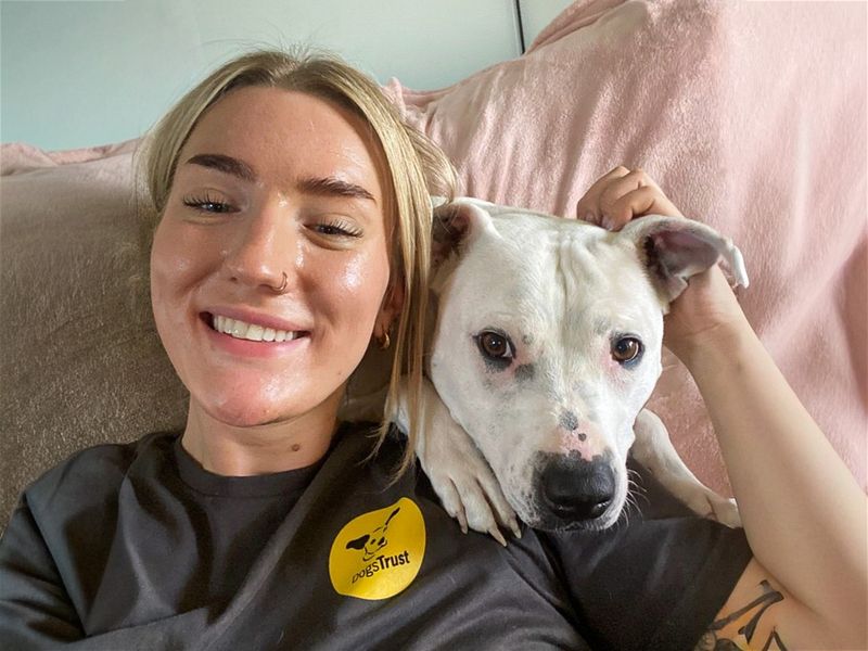 Tetley | Terrier (Staffordshire Bull) Cross | Basildon (Essex) - 20
