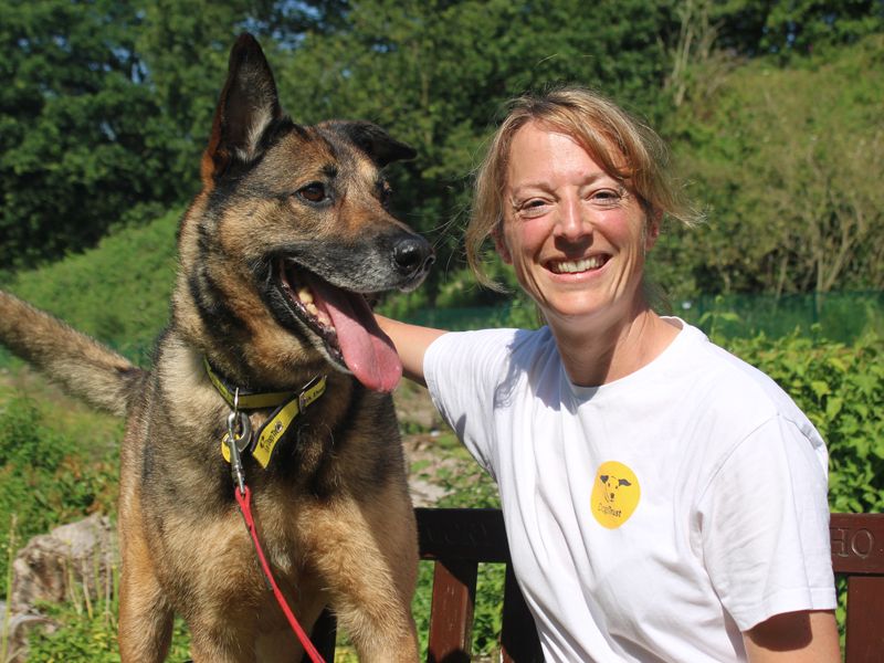 Nala | Crossbreed | Merseyside (Liverpool) - 2