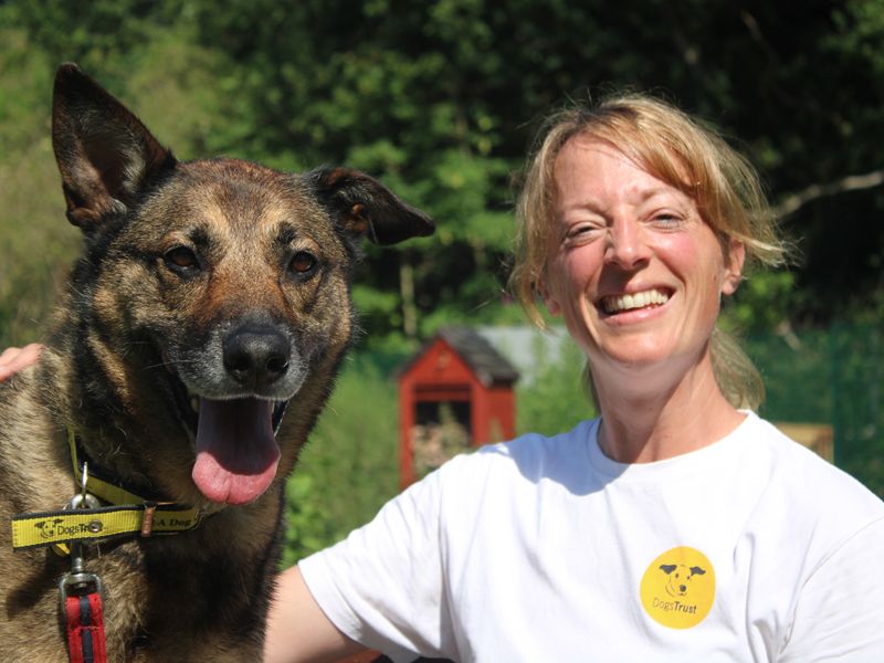 Nala | Crossbreed | Merseyside (Liverpool) - 1