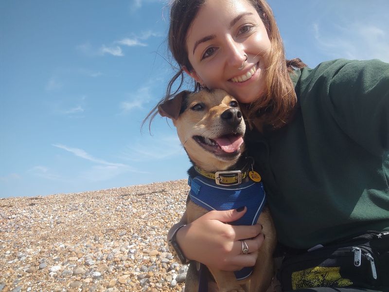 Freddie for sale in Shoreham by Sea