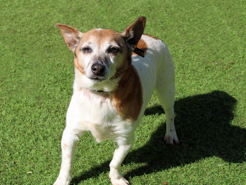 Freya - Image 4 of 5