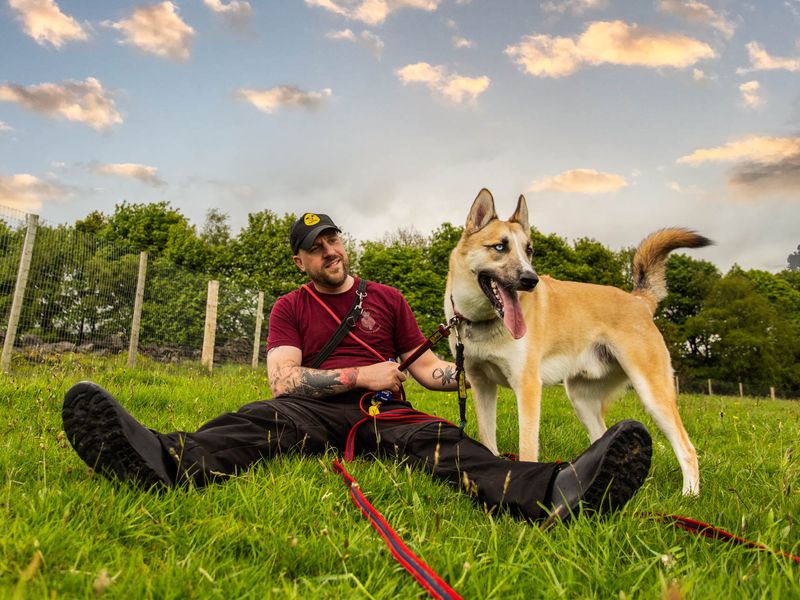 Koda for sale in Manchester - Image 3