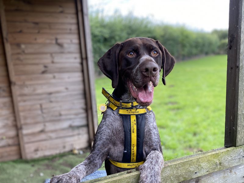 Tracker for sale in Wymeswold, Leicestershire