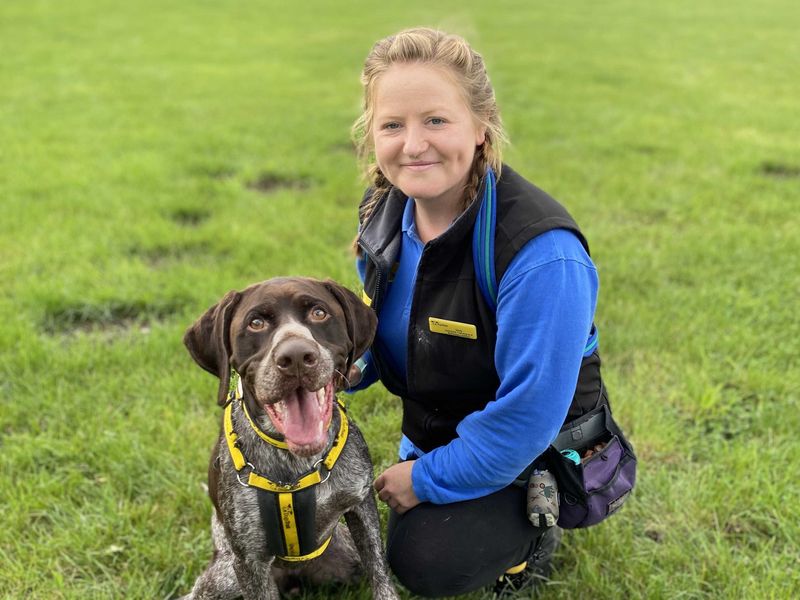 Tracker | Pointer (German Shorthaired) | Loughborough - 1