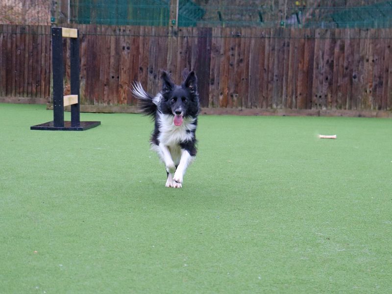 Nuala - Image 6 of 6