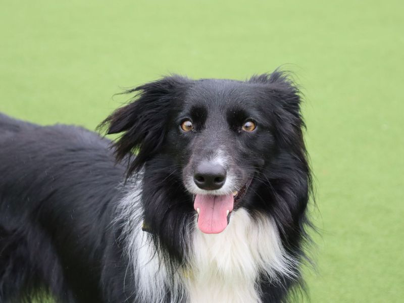 Nuala - Image 3 of 6