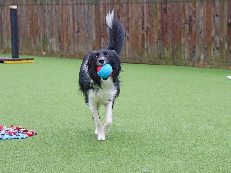 Nuala - Image 4 of 6