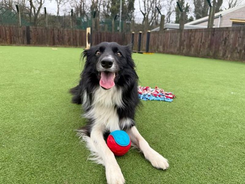 Nuala - Image 2 of 6