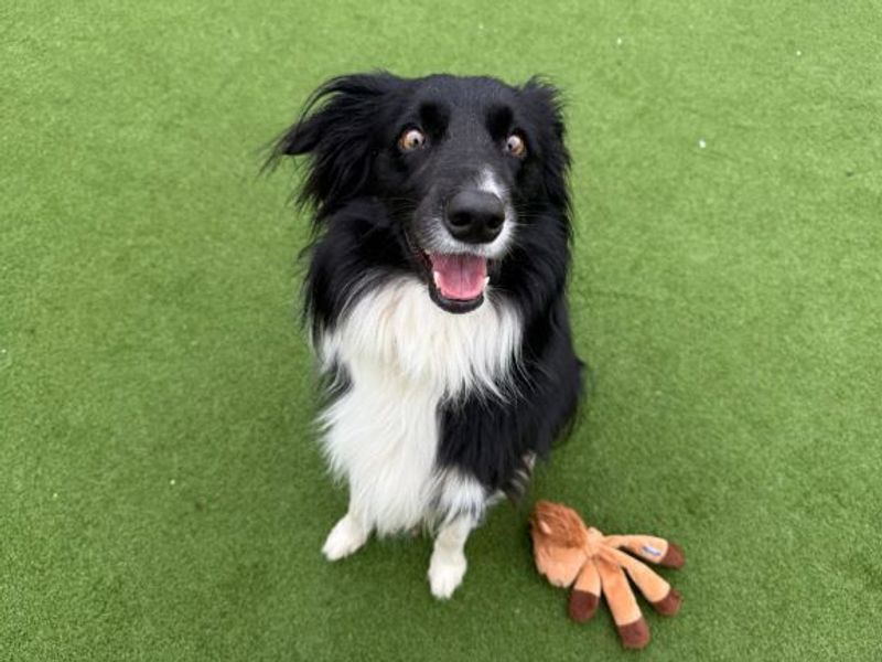 Nuala - Image 5 of 6