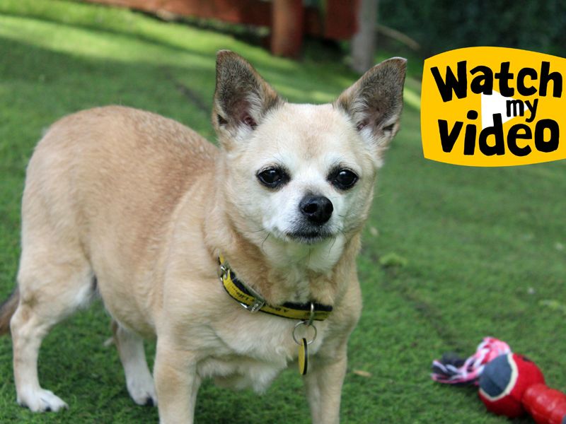 Bella - Image 3 of 4