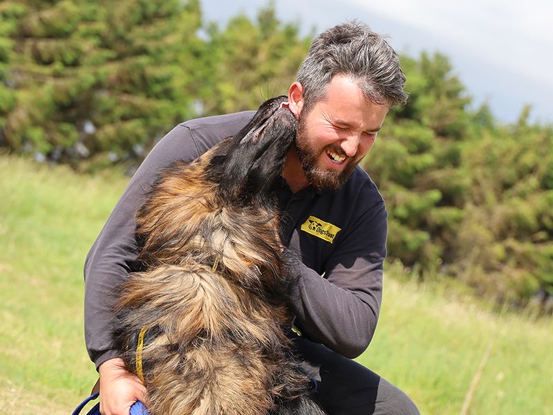 German Shepherd for adoption in Leeds, Yorkshire – 4 years old