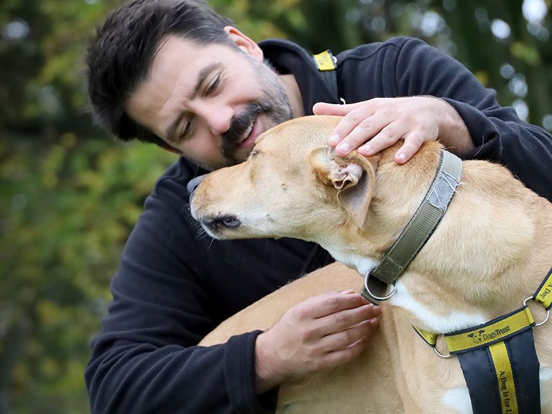 undefined | Lurcher Cross | undefined - 11