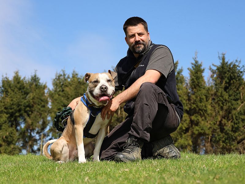 Buster - Image 2 of 6