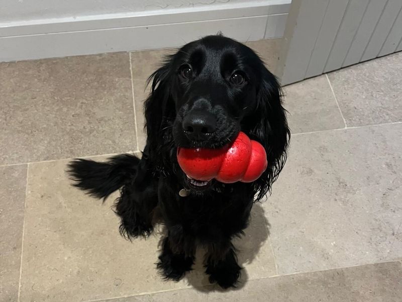 Peggy - Image 3 of 3