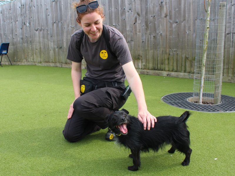 Betty for sale in Evesham, Worcestershire