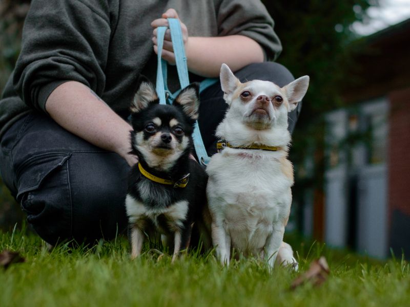 Princess - Image 3 of 3