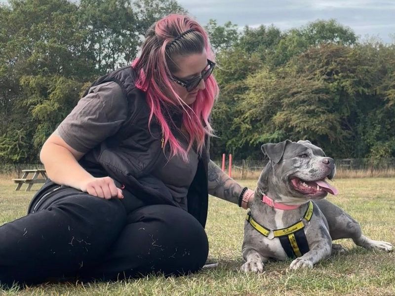 Gigi, a 4 years old female Unknown available for adoption from Dogs Trust in Cardiff