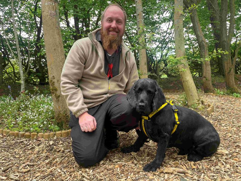 Buddy for sale in West Calder, West Lothian