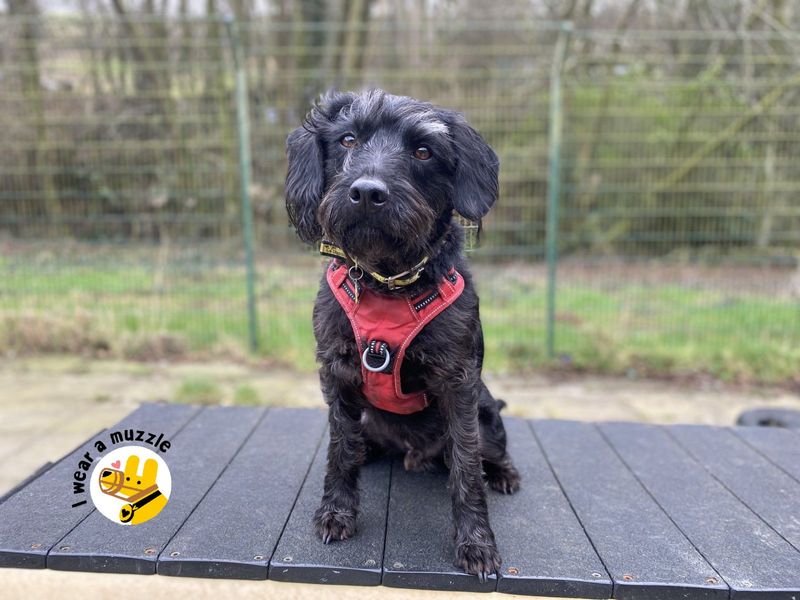 Arlo for sale in Ilfracombe, North Devon | Image 2