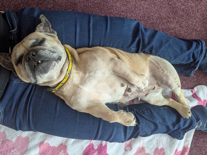Dora for sale in Liverpool, Merseyside