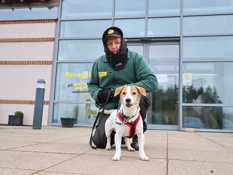 Toby for sale in Leeds, Yorkshire
