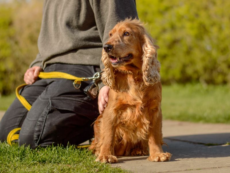 Mango - Image 2 of 3