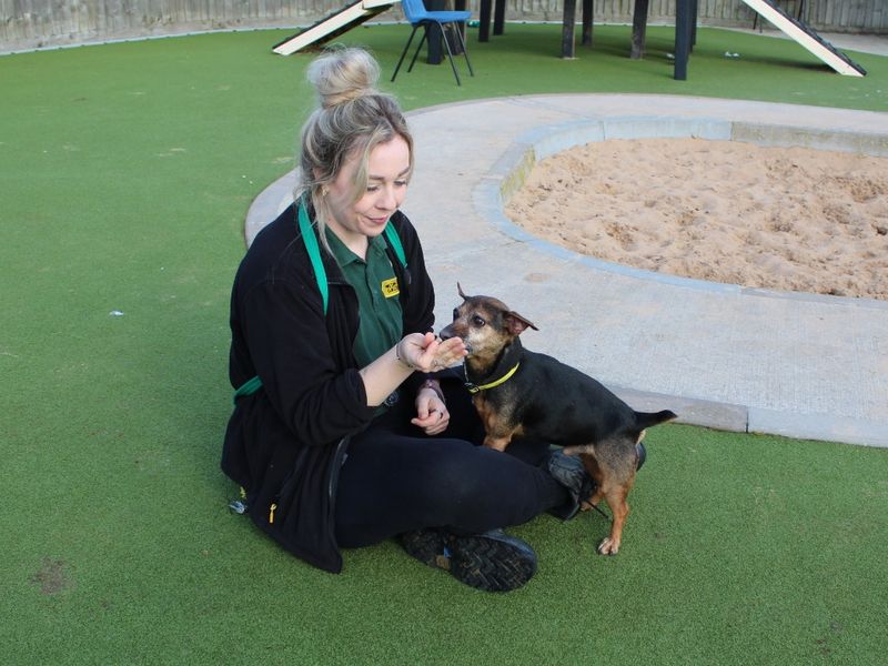 Digby - Image 2 of 3