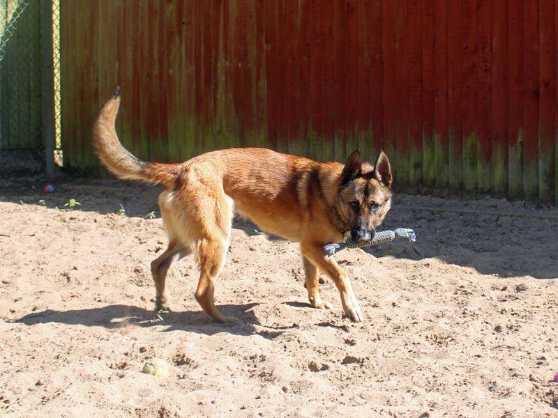 Walter for sale in Liverpool, Merseyside
