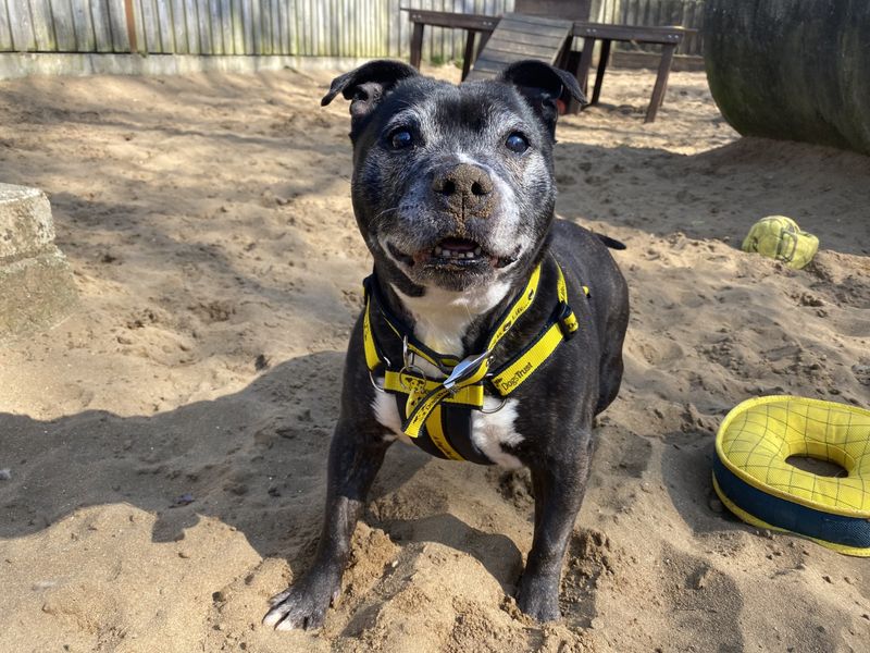 Roxy for sale in Ilfracombe, North Devon
