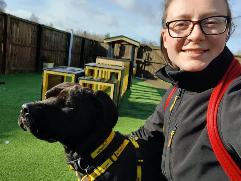 Buster for sale in West Calder, West Lothian
