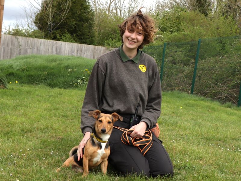 Hikari for sale in Evesham, Worcestershire